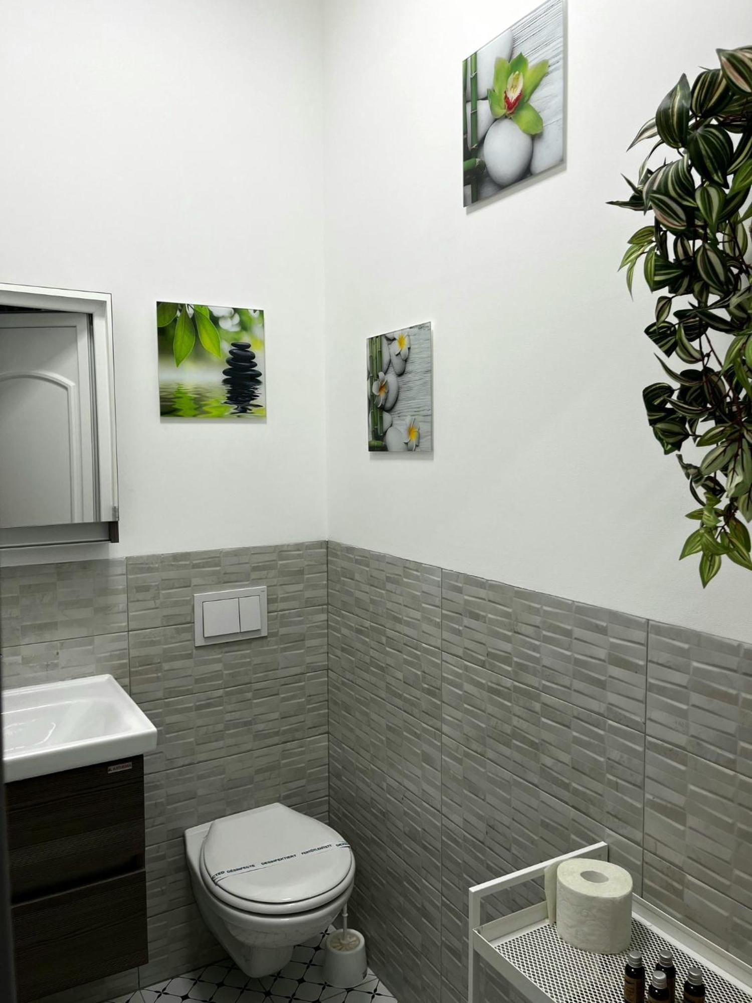 Appartamento Pacha Timisoara